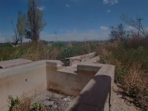 VENTA DE FINCA 5,2 HS PERDRIEL, LUJAN DE CUYO