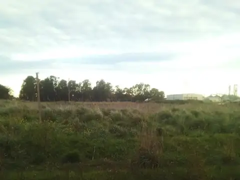 VENDO 6 LOTES JUNTOS O SEPARADOS en QUEQUEN - NECOCHEA