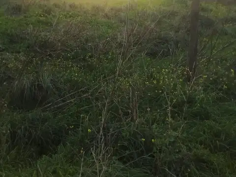 VENDO 6 LOTES JUNTOS O SEPARADOS en QUEQUEN - NECOCHEA