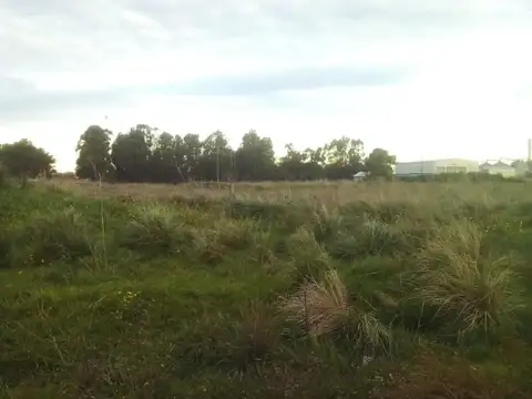 Terreno en Venta de 216,0 m2