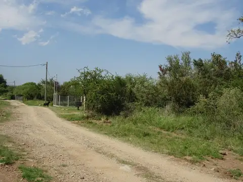 Terreno en Venta en Centro, USD 25.000