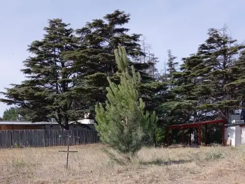 Terreno en Venta de 687,0 m2