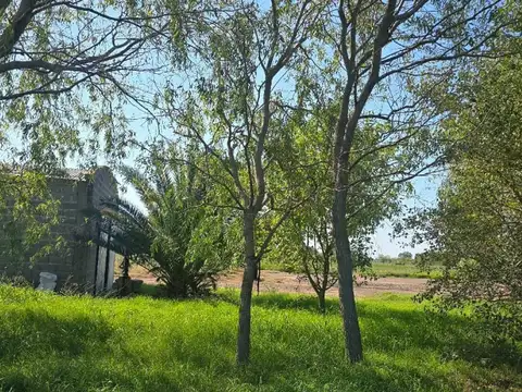 Campo a la venta en San Miguel Del Monte