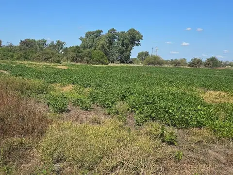 Paraje "Los Eucaliptus"