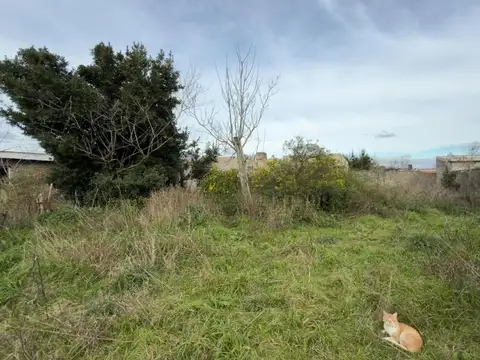 Terreno en Venta -  - 611mts - Dolores