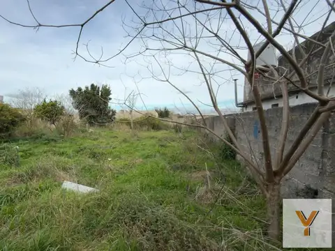 Arenales e/ Rivadavia y Mendiola
