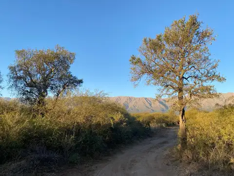 Terreno en Venta de 1100,0 m2