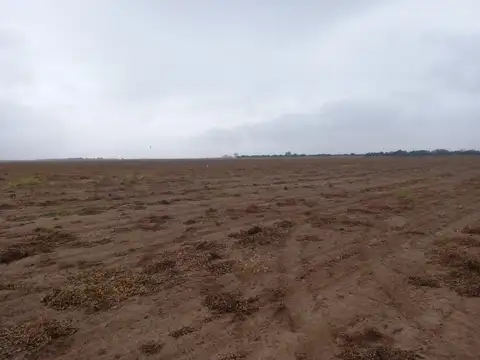 calle publica, Rafael Garcia, Córdoba