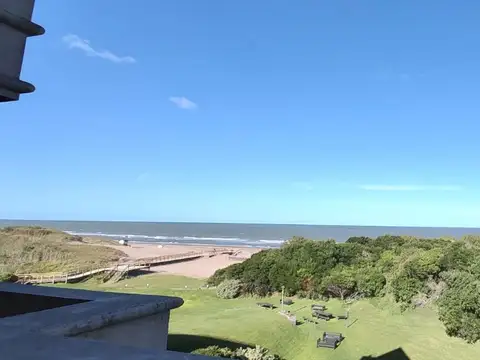 Ciruelo 100