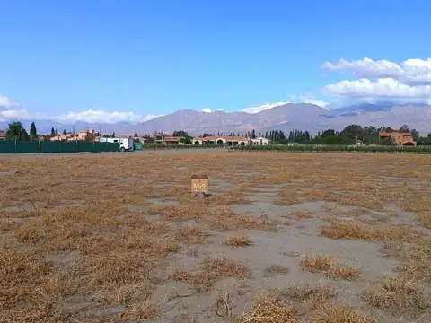 Terreno en Venta 47  mts Fondo