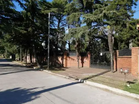Unamuno 4200