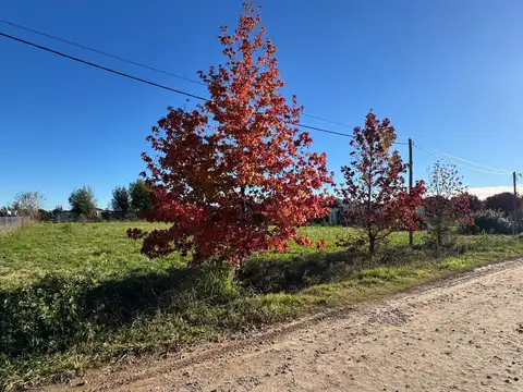 Terreno en Venta, FOS 0,2