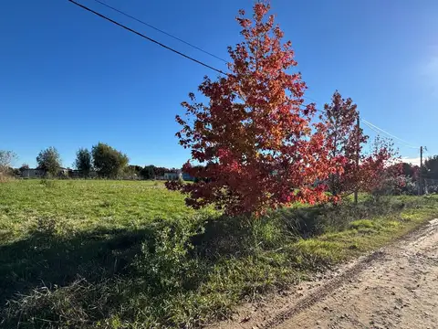 VENTA Lote Del Carmen – Lobos