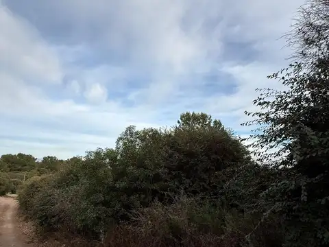 Terreno en Venta de 2360,0 m2
