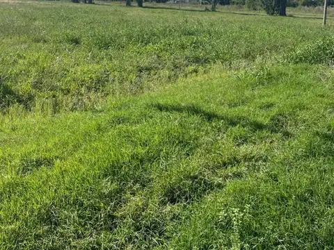 Terreno en Venta de 1005,0 m2