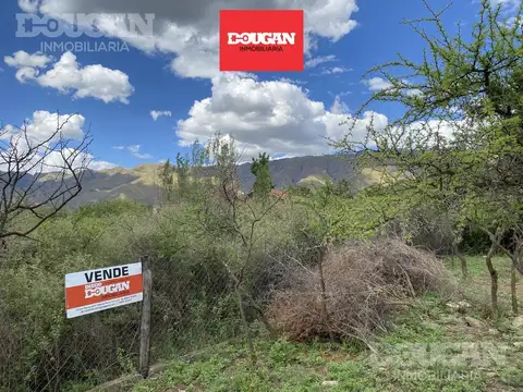 Terreno en venta - cerro de oro
