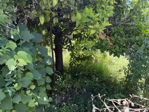 Casa De 2 Amb Con Local Y Cochera Fondo Libre