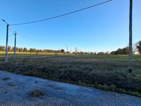 Terreno en Venta de 1000,0 m2