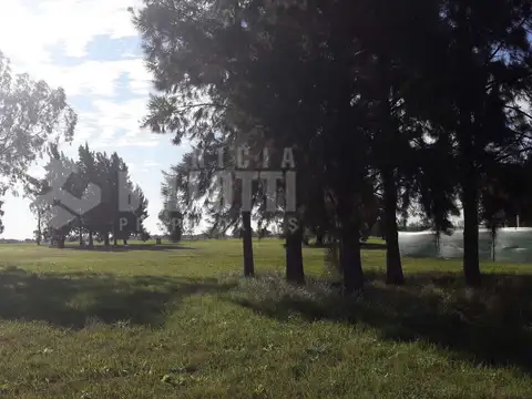 Lote en Venta - La Victoria Area 60 - Brandsen - Buenos Aires