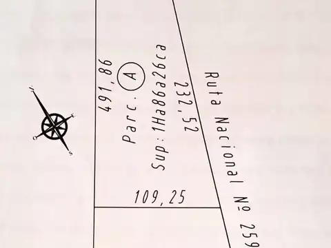 Ruta N° 259 100