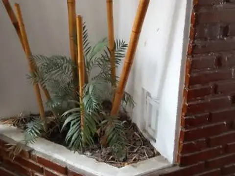 Departamento en Alquiler 45 años