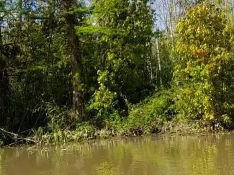 VENTA 1,7 HA DELTA RIO CAPITAN Y ARROYO CANDIOTTI