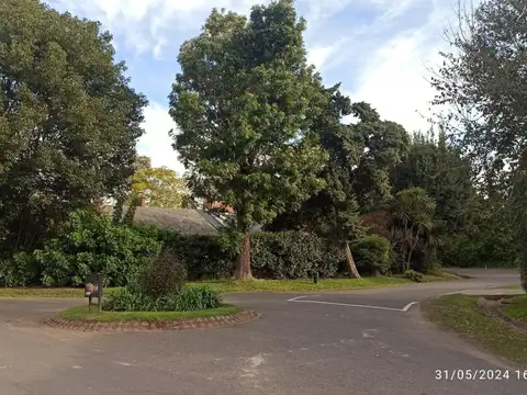 LOS LAGARTOS C.C. PILAR