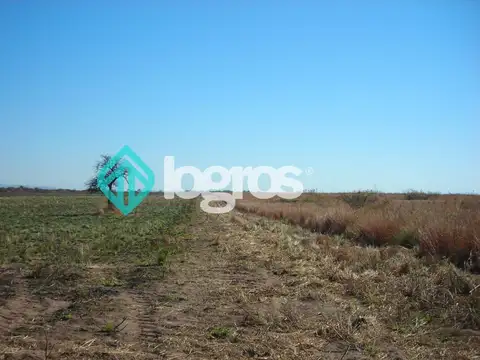 Campo en venta 1700 has apto Agrícola Ganadero Zona Joaquín V. González, Salta