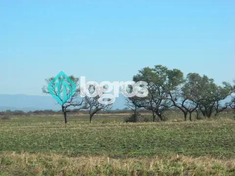 Campo en venta 1700 has apto Agrícola Ganadero Zona Joaquín V. González, Salta