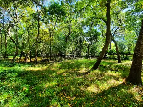 Terreno en  la Isla Libertad con 20 metros de costa propia.