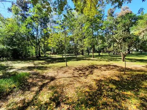 Terreno en Venta 50  mts Fondo