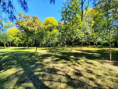 Terreno en Venta 38  mts Frente