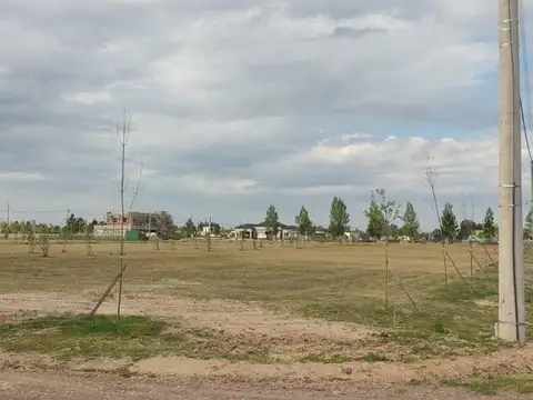Terreno en Venta de 1065,0 m2