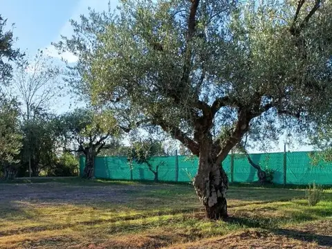 Terreno en Venta en Maipu, USD 25.000