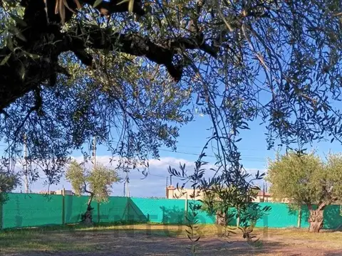 Terreno en Venta de 526,0 m2