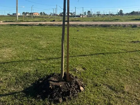 Terreno en Venta de 300,0 m2
