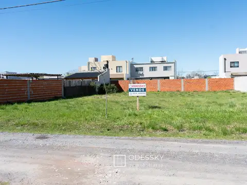 2 LOTES EN VENTA EN PETION CHICO - CAÑUELAS