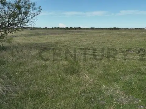 LOTE DE TERRENO EN LOS TALAS