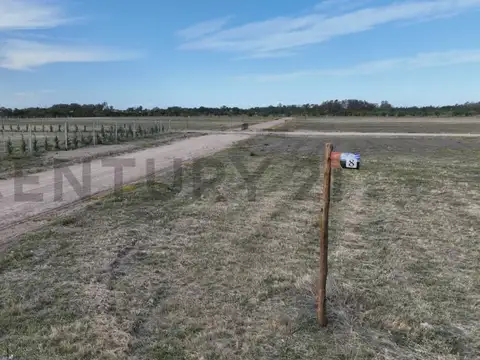 LOTE DE TERRENO EN LOS TALAS