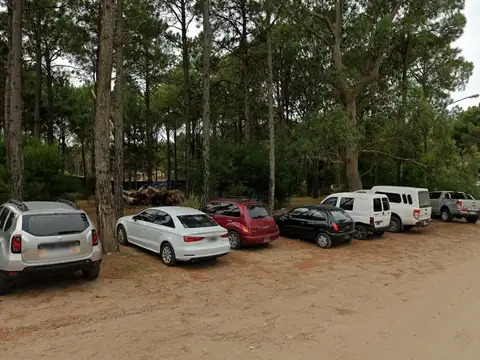 Renata Norte - Pinamar