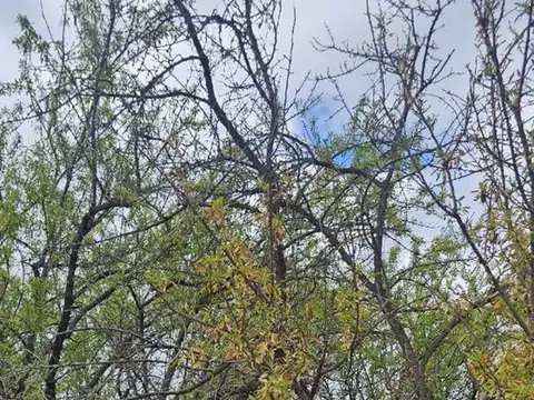 Terreno en Venta en Zona Industrial, Maipú