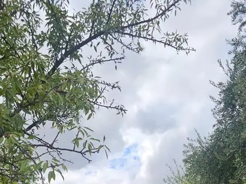 Terreno en Venta de 100000,0 m2