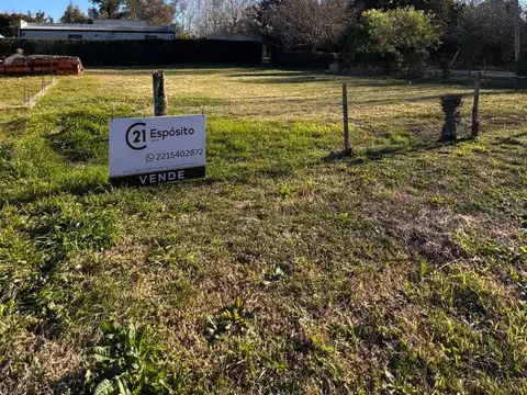 Lote en Venta en Villa Elisa