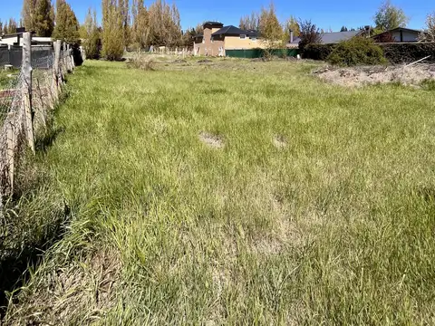 José Ingenieros 100