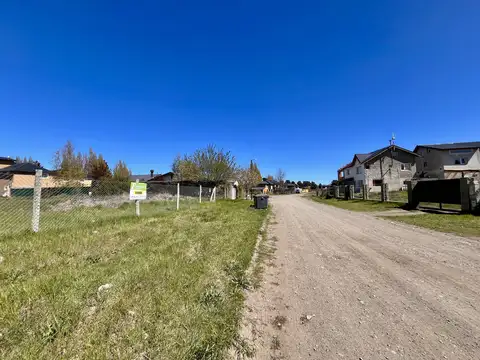 José Ingenieros 100