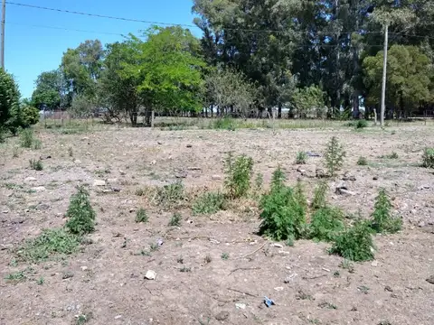 Terreno en Venta 30  mts Fondo