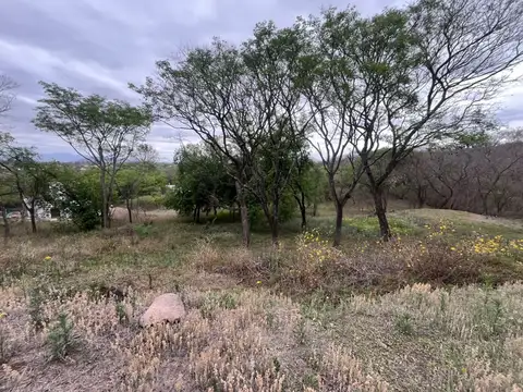 La Quebrada de los Nogales. Lote 100