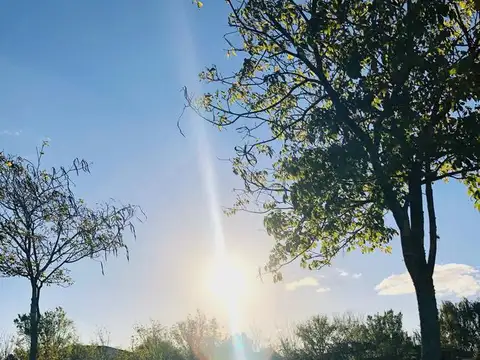 Nordelta - La Isla - Últimos lotes / Terrenos disponibles en este barrio Premium