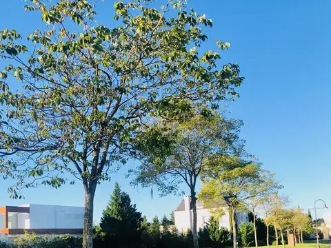 Barrio La Isla -  Nordelta