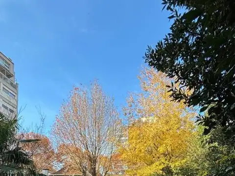 Venta Casa/ oficina premium de 8 ambientes con jardín y pileta en Vicente Lopez